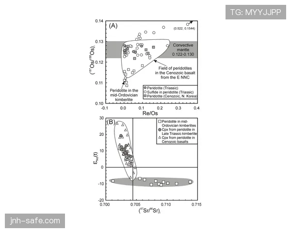 孔帕尼与阿尔巴防线稳定性差异的体系根源